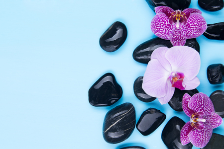 Set of black stones on a blue background with pink orchidsの写真素材