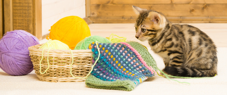 Basket with balls for kitten on a wooden backgroundの写真素材