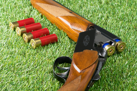 hunting Rouge lying on the grass with red cartridgesの写真素材