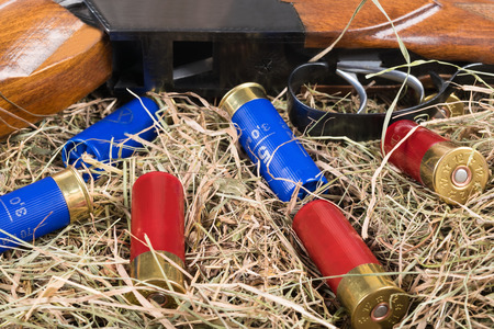 The hunting rifle and cartridges lie on the background of hayの写真素材