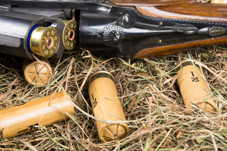 The hunting rifle lies in a straw with cartridges