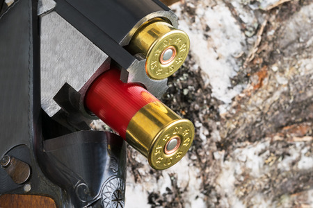 Cartridges from a gun fall on a background of rosewood