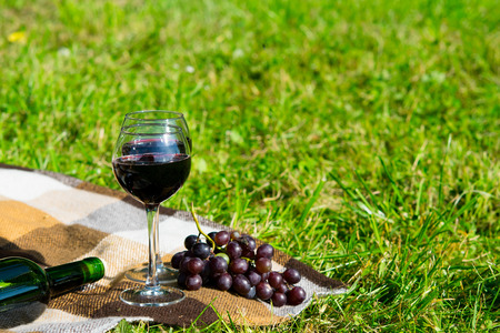 A glass of red wine in the open air, next to a branch of grapes