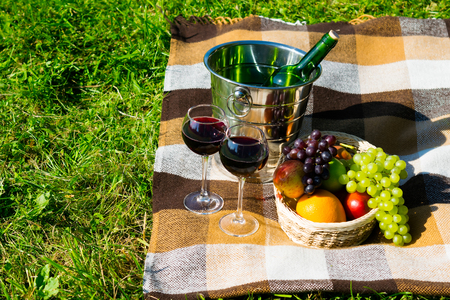 picnic in a park with two glasses of red wine and fruit, top viewの写真素材