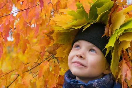 the girl, close-up, on the head of colorful autumn leavesの写真素材