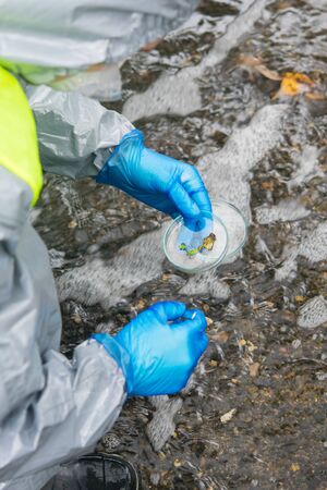 scientist in protective uniform and gloves, collects plant materials from the river in a Petri dishの写真素材