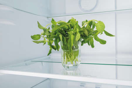 mint in a glass on a shelf in the refrigerator, front view, close-upの写真素材