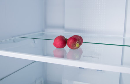 against the background of a white refrigerator, there is a red radish on a glass shelf, close-upの写真素材