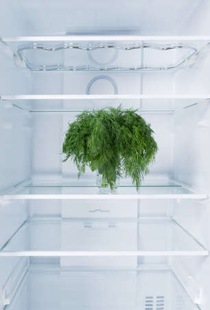 against the background of a white refrigerator, on a glass shelf there is dill greens in a glassの写真素材