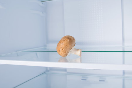 against the background of a white refrigerator, there is a mushroom mushroom on a glass shelf, close-upの写真素材