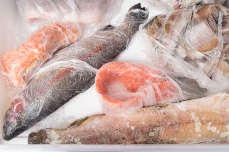 frozen red and white fish lie in a freezer drawerの写真素材