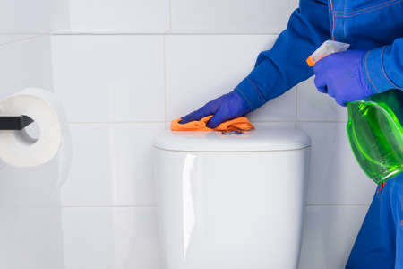 an employee of a cleaning company wipes the toilet bowl using special detergentsの写真素材