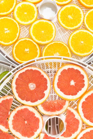 drying trays with fresh grapefruit and orange slices, backgroundの写真素材