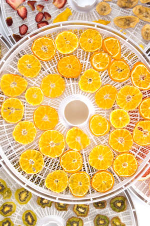 cut pieces of fruit kiwi, strawberry, banana, orange, on round grates after drying, in special...