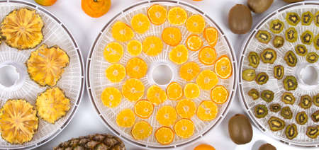 sliced pieces of kiwi, orange, pineapple, on round grates after drying, in special equipment, on a white table, surrounded by fresh whole fruitsの写真素材