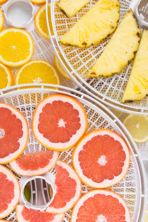 fresh sliced grapefruit, orange, pineapple and lemon lie on the round grate of the fruit and vegetable drying machine, top viewの写真素材
