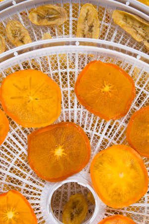 electric dryer for fruits and vegetables, close-up, persimmon is laid out on a white round grateの写真素材
