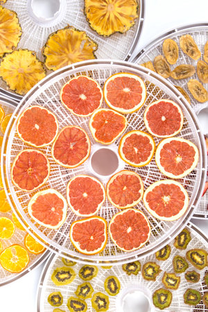 sliced pieces of fruit kiwi, pineapple, banana, orange, on round grates after drying, in special equipmentの写真素材