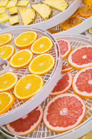 fresh sliced orange, pineapple, grapefruit, persimmon lie on the round white gratings of the fruit...