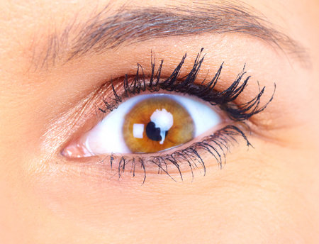woman eye. Close up, macro
の写真素材