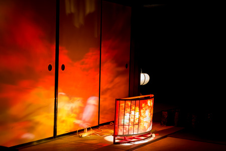 fire birdの写真素材