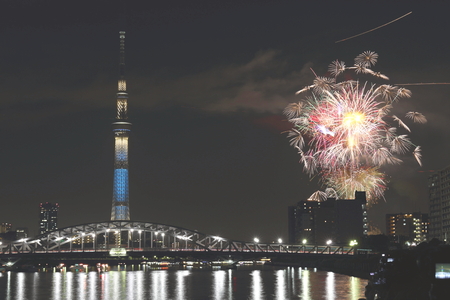 sky-tree and firework