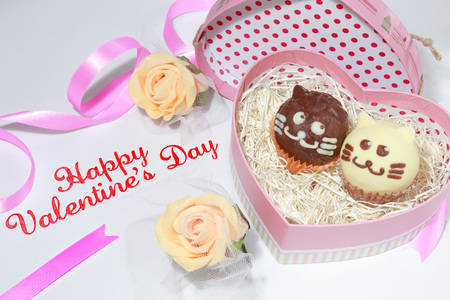 Valentine Chocolate Handmade Cats Coupleの写真素材