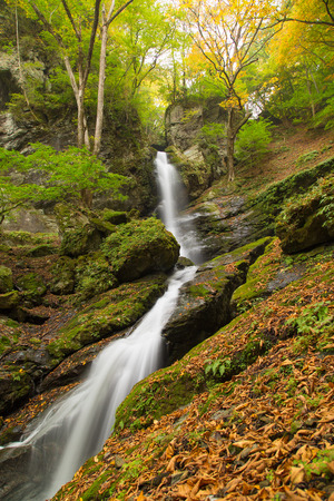water fallの写真素材