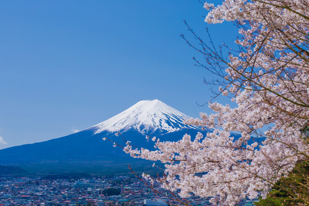 treeの写真素材