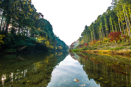 Japanese autumn leaves sceneryの写真素材