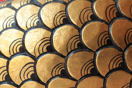 Dragon Scalesの写真素材