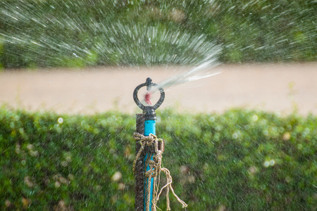 Tree injectionの写真素材
