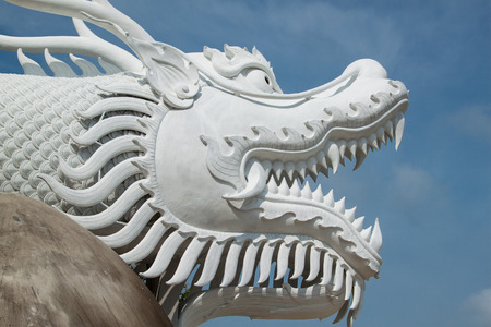 head dragonの写真素材