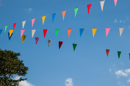 Party flags