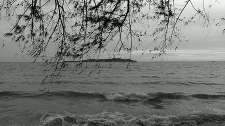 Monochome sea and the beachの素材