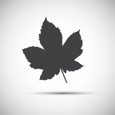 Maple leaf, simple grey illustration iconのイラスト素材