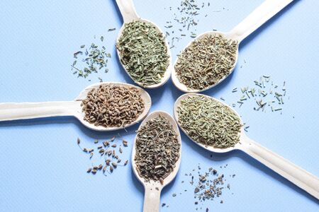 Wooden spoons with spices laid out in a circle. Collection of spices from herbs.