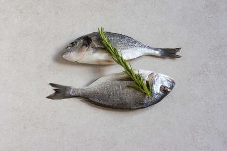 Two fresh raw sea organic dorado or sea bream on a grey backgroundの写真素材