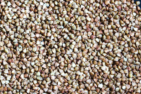 Grain buckwheat, detail texture background, closeup of buckwheat backgroundの写真素材