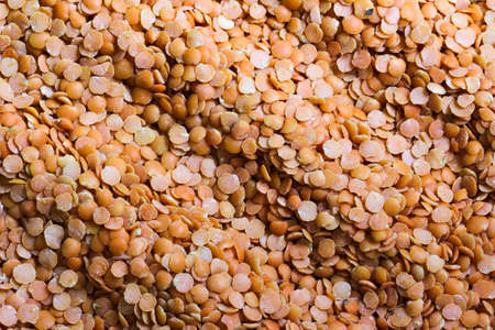 Yellow lentils, detail texture background, closeup of lentils backgroundの写真素材