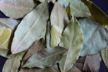 Dried green bay with textured background. Aromatic dried bay leaves texture backgroundの写真素材
