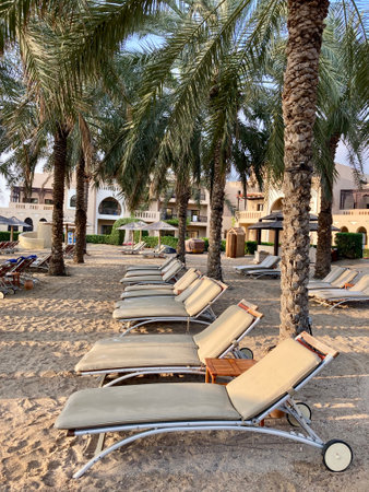 Empty beach chairs on the beach in the palm trees near the hotel. Luxury tourist resort.の写真素材