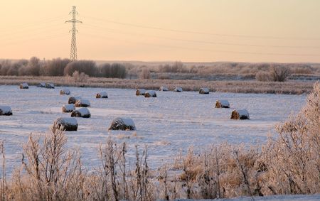 Northern fields and linesの写真素材