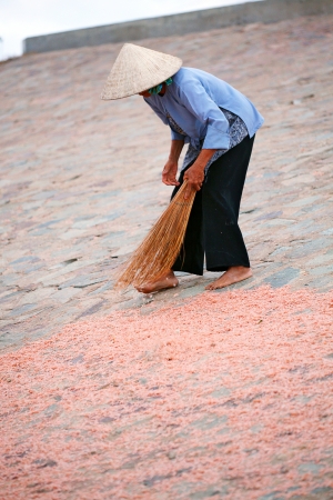 Vietnamese woman sweeps dried krill with a broom.のeditorial素材
