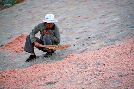Vietnamese woman sweeps dried krill with a broom.のeditorial素材