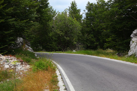 Beautiful asphalt road through the forest in the mountains of Montenegroの写真素材