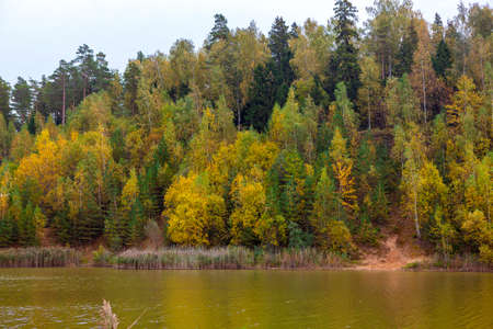 A russian autumn landscape with yellow trees growing on a small hill by the fishing pondの写真素材