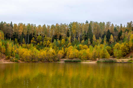 A russian autumn landscape with yellow trees growing on a small hill by the fishing pondの写真素材
