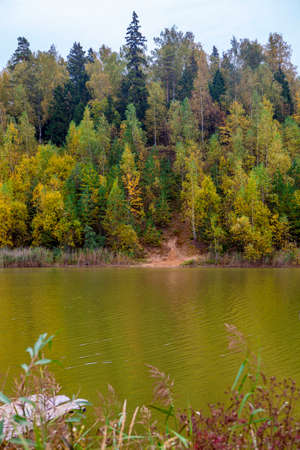 A russian autumn landscape with yellow trees growing on a small hill by the fishing pondの写真素材