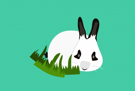 Panda Rabbitsのイラスト素材